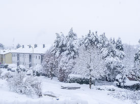 Bernhard J. Lattner Backnang Winterlandschaft Eingeschneit Seehofweg