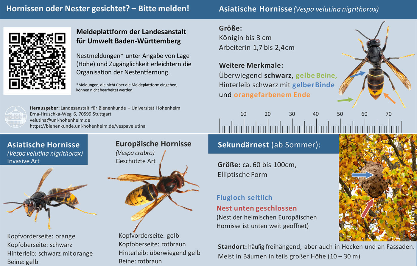 Universität Hohenheim