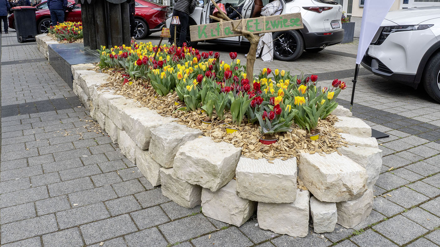 Tulpenfrühling 2026