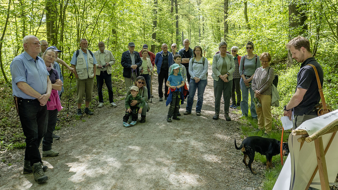 Waldbegehung im Backnanger Plattenwald