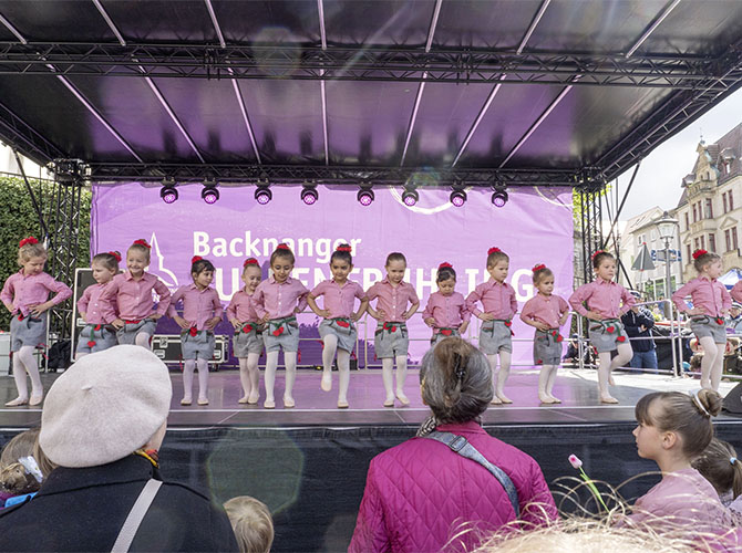 Tulpenfrühling 2026