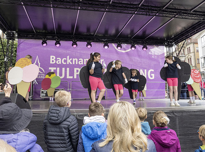 Tulpenfrühling 2026