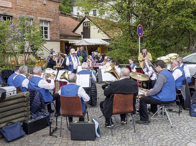 Tulpenfrühling 2026