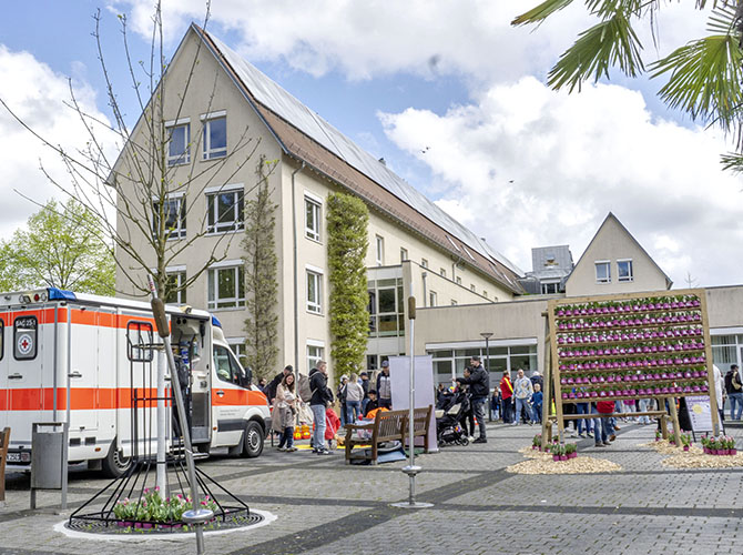 Tulpenfrühling 2026