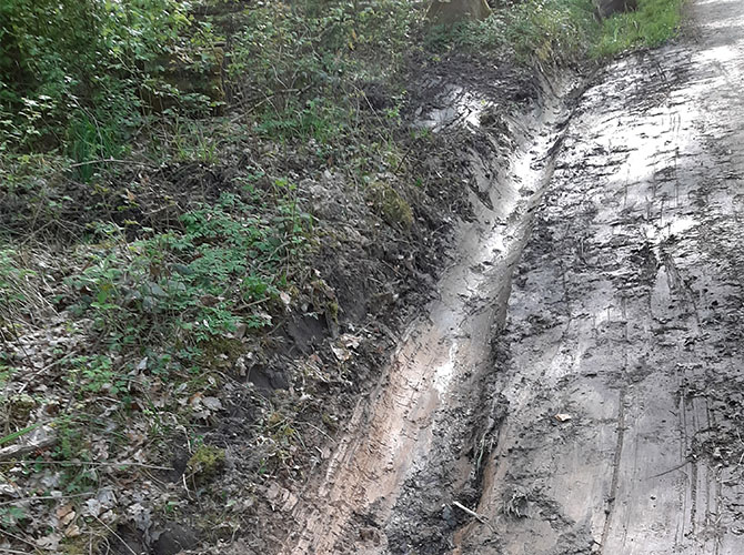 Anlage von Drainagen entlang von Waldwegen