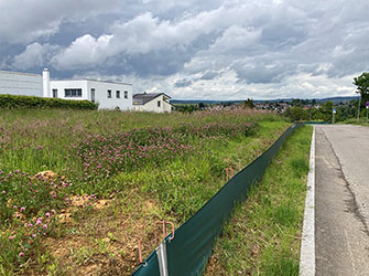 Blick auf das künftige Wohngebiet: In der Hohenheimer Straße in Backnang startet die Vermarktung von vier attraktiven Bauplätzen für Einfamilienhäuser | © Stadtverwaltung Backnang