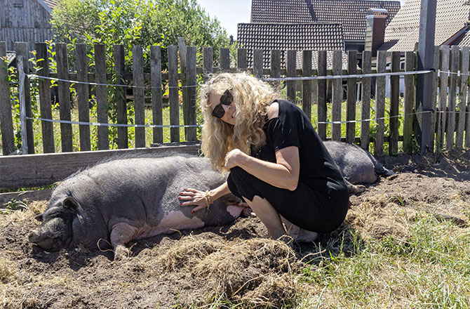 Visnja Lamp mit Hängebauchschwein Hanni | © BJ. Lattner