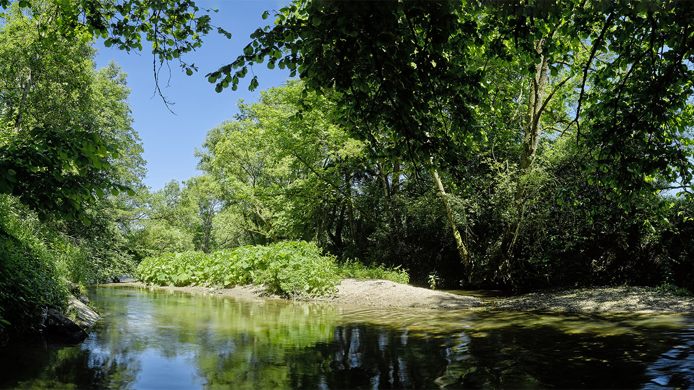 Murr bei Backnang-Steinbach | © BJ. Lattner