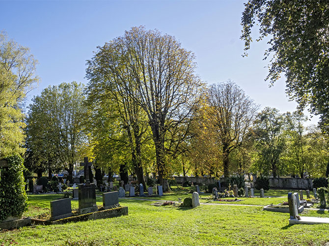 Gräberfeld Stadtfriedhof Backnang | © BJ. Lattner
