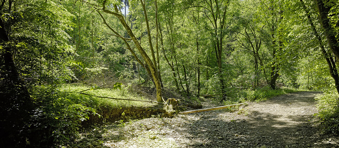 Im Maubachtal, Backnang-Maubach | © BJ. Lattner