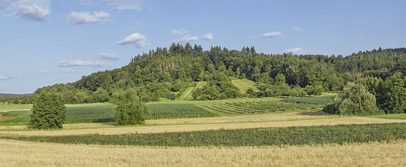 Panorama Höchberg | Gewann Höchberg, Backnang-Waldrems | © BJ. Lattner